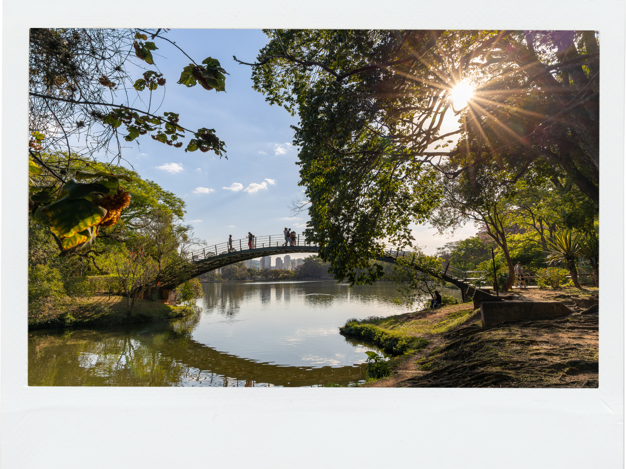 Paisagem Parque São Paulo